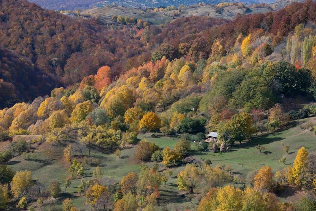 Valley View Breaza Dış mekan fotoğraf
